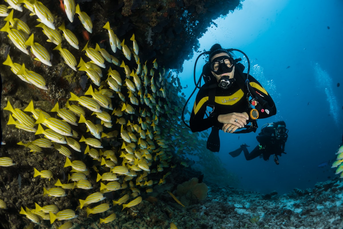 Diver over a coral triangle reef
