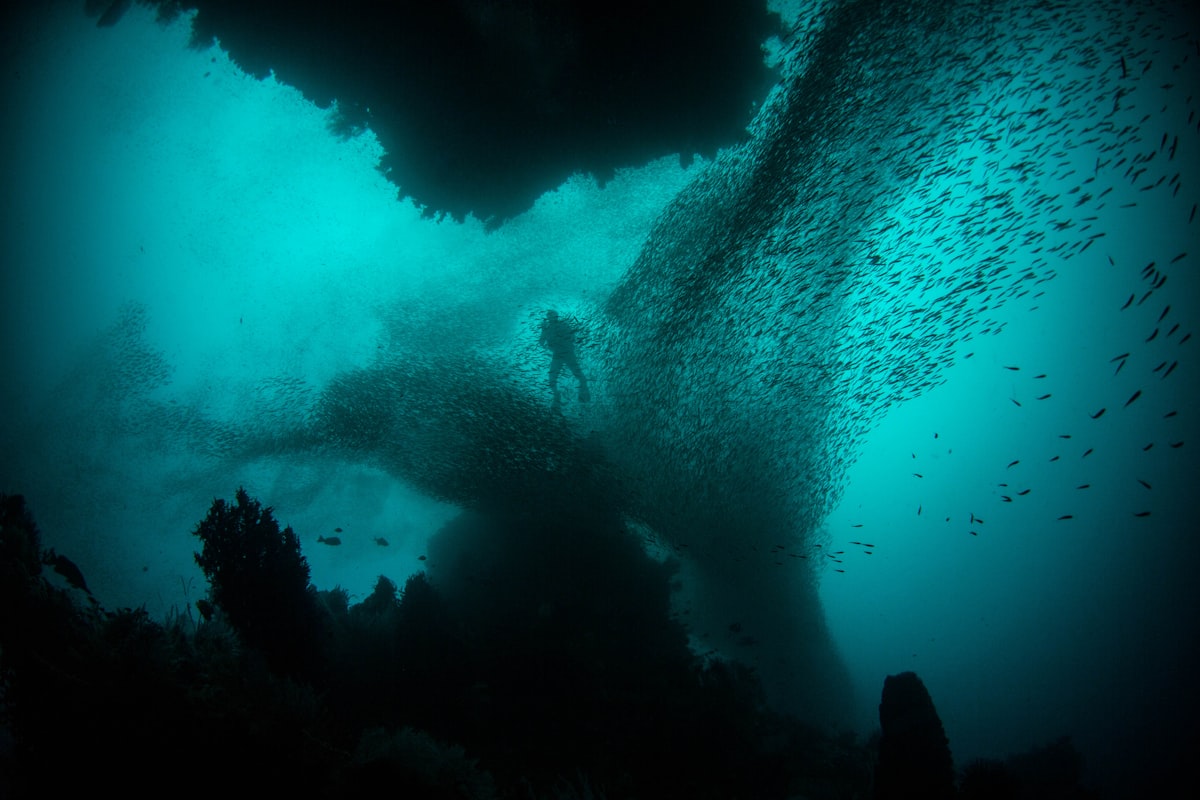 Diver in the reefs of Raja Ampat, Indonesia